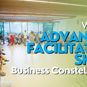 Advanced faciliation skills business constellations