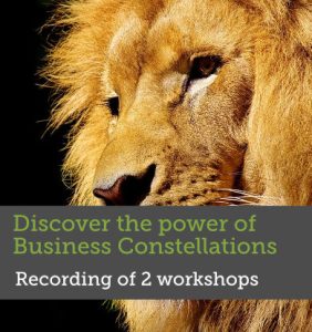 Discover the Power of Business Constellations