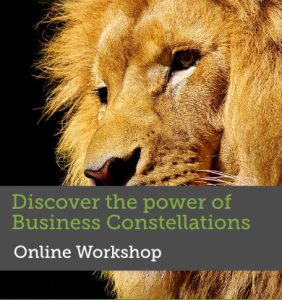 Discover the Power of Business Constellations