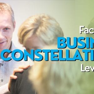 Facilitating Business Constellations level 1 and 2