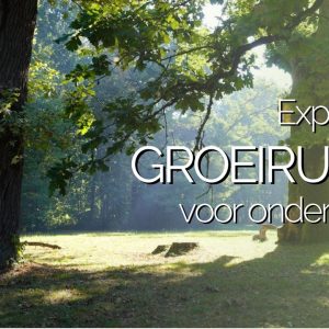 Groeiruimte voor ondernemers