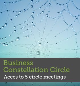 Business Constellation Circle 5