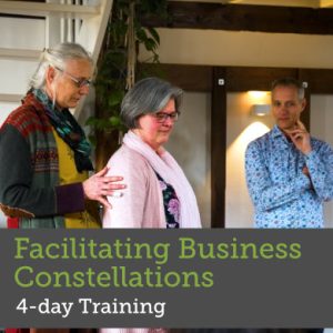 Training Facilitating Business Constellations in NL