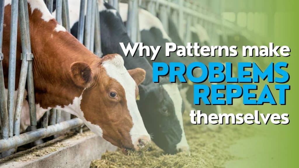 Why Patterns make Problems Repeat Themselves
